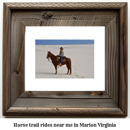 horse trail rides near me in Marion, Virginia